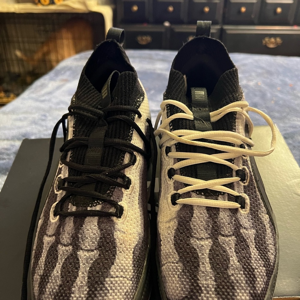 Puma X-Ray
